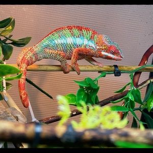 Meet your Posher, Josh